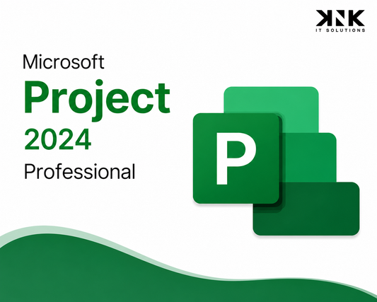 Microsoft Project 2024 Professional